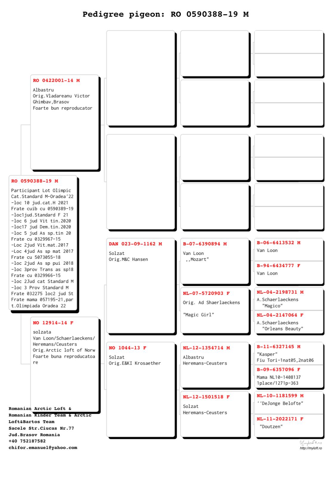 RO 19-0590388- MASCUL - Image 2