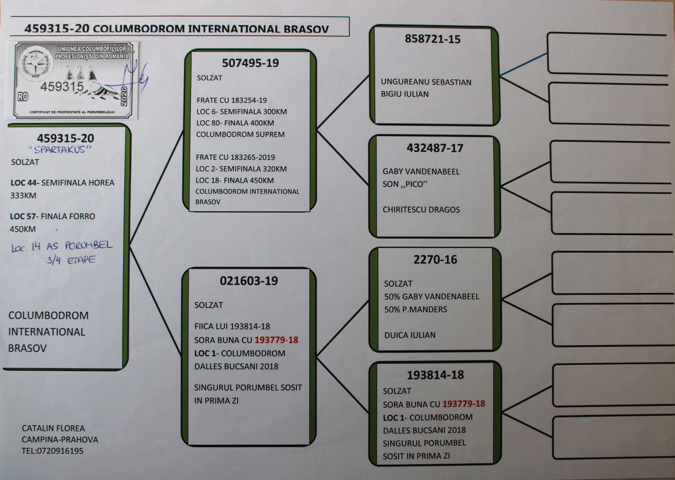 RO 20-459315 – FEMELA - Image 2