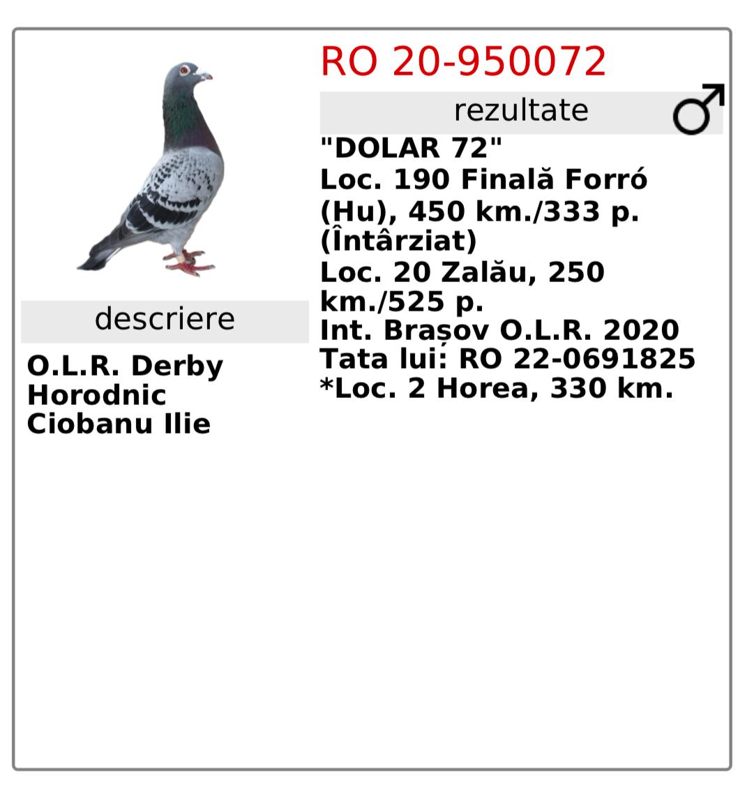 RO 20-950072- MASCUL - Image 2