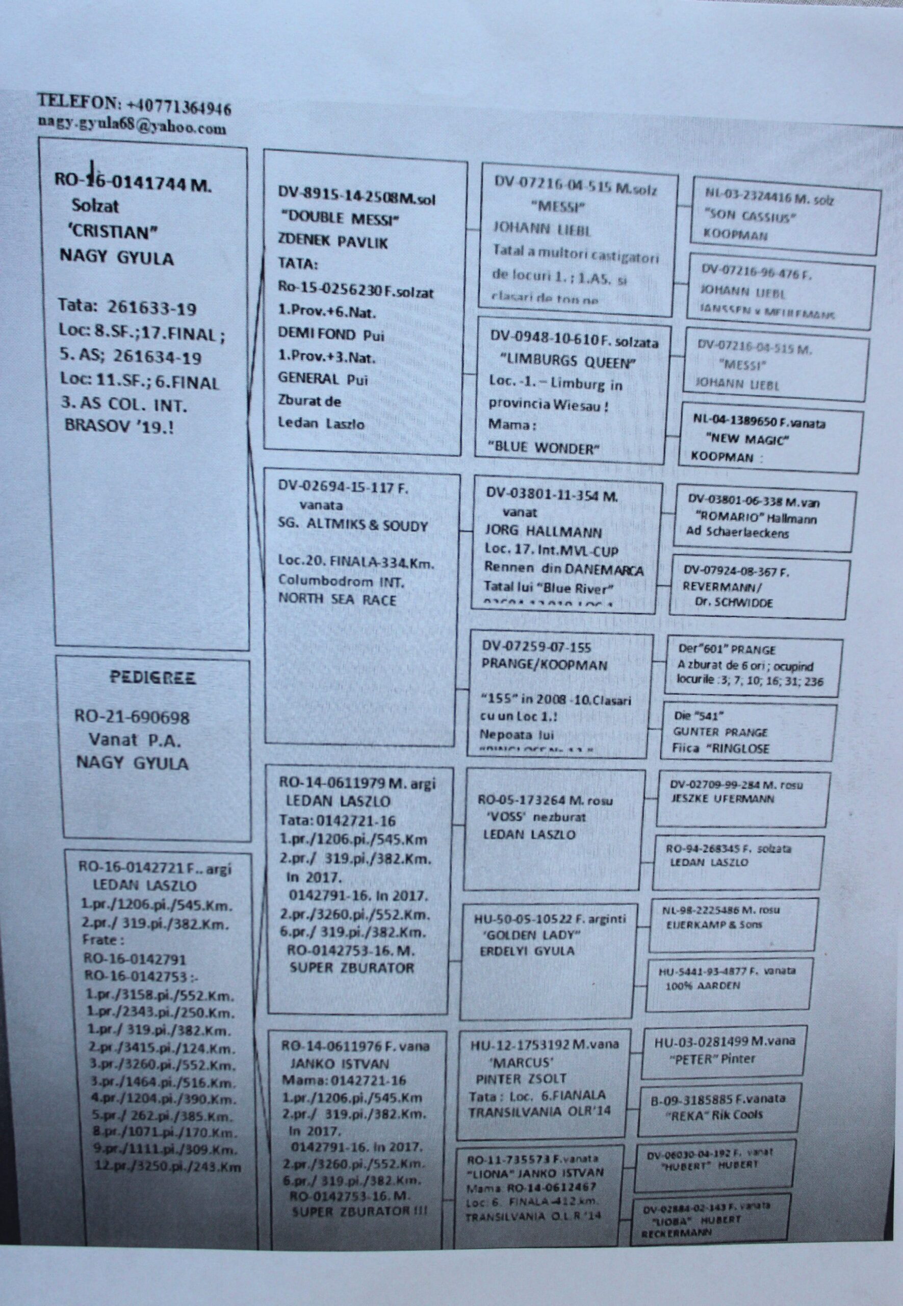 RO 21-690698 – FEMELA - Image 2