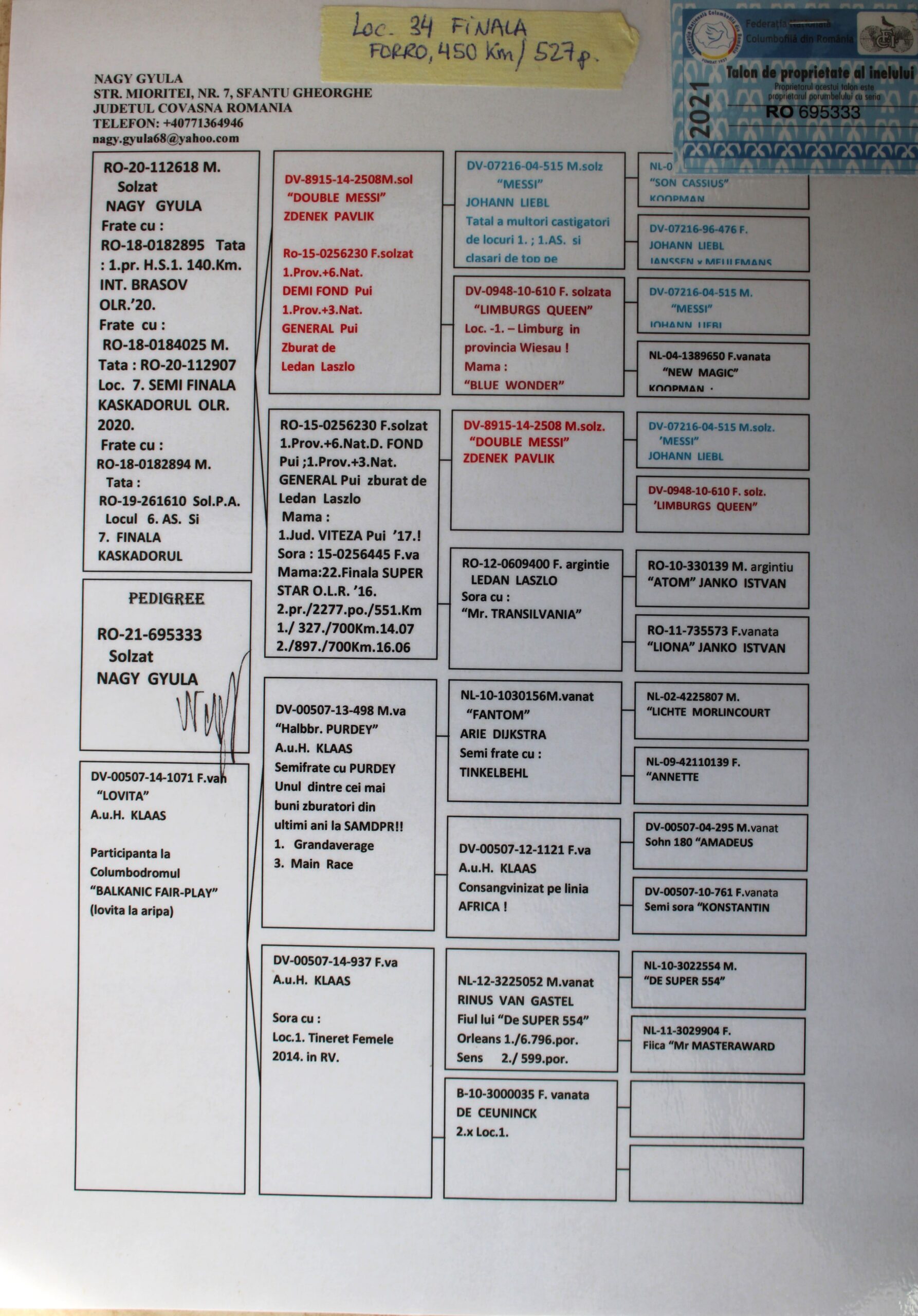RO 21-695333 – MASCUL - Image 2