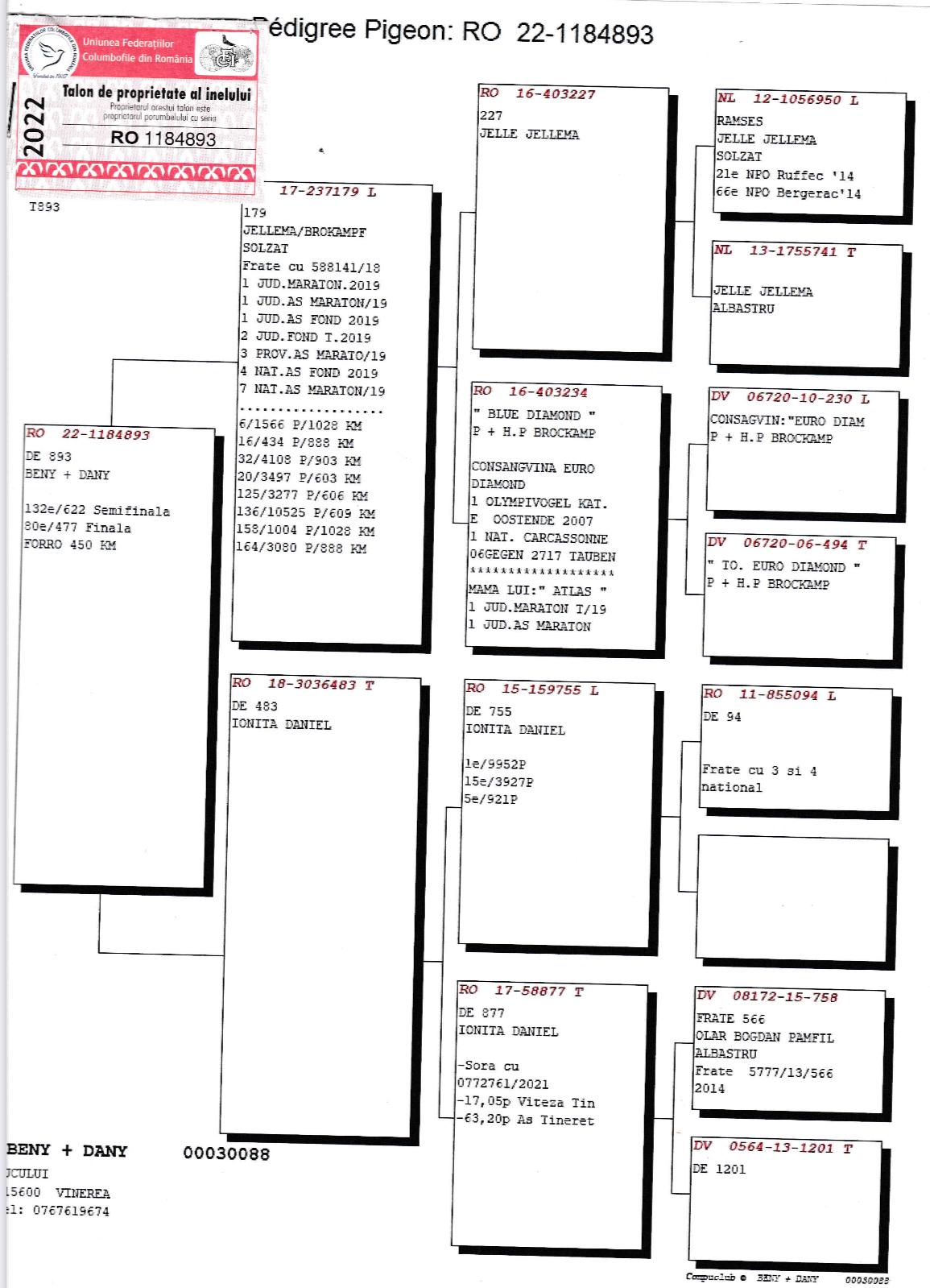 RO 22-1184893 – MASCUL - Image 2