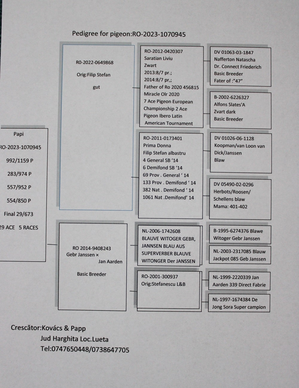 RO 23-1070945 – MASCUL - Image 2