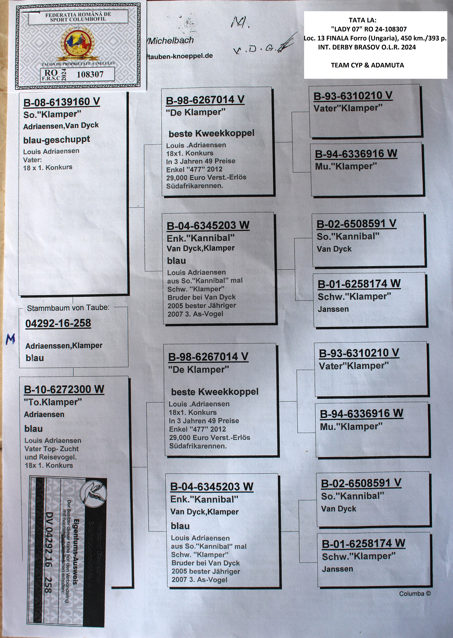 RO 24-108307- MASCUL - Image 3