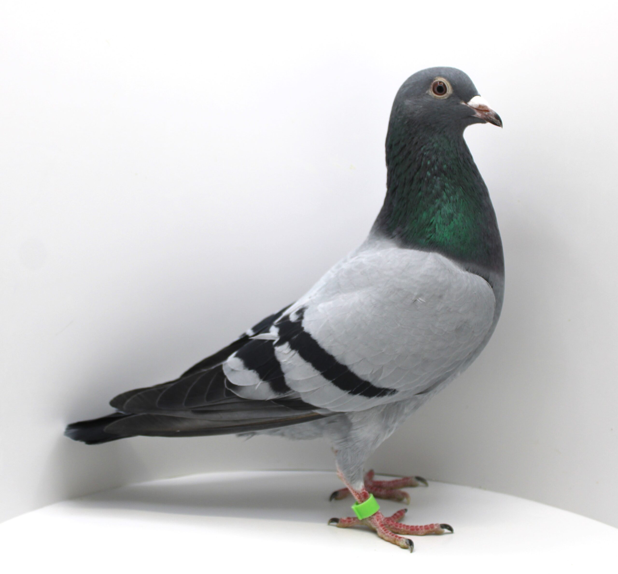 RO 25-0978440 F - Image 2