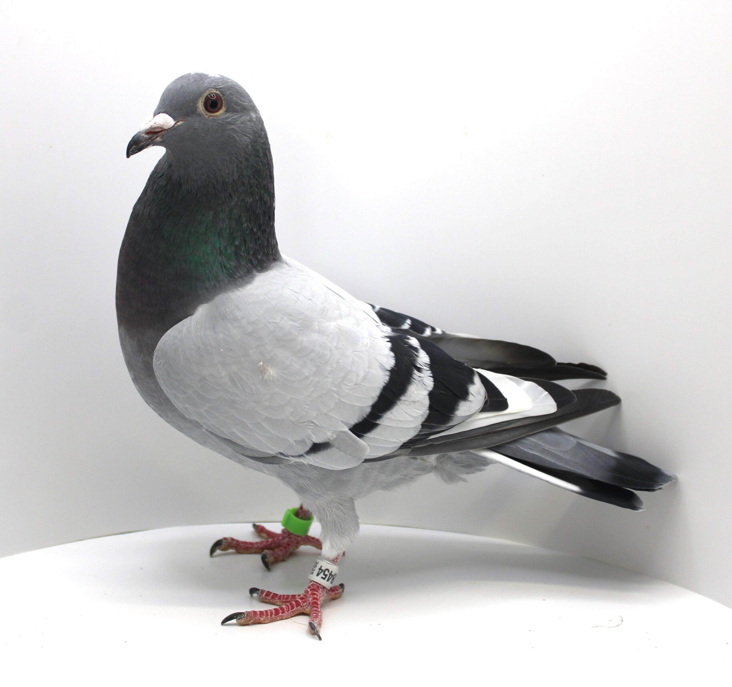 RO 25-0978454 F - Image 2