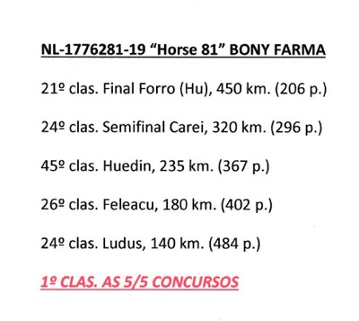 NL 19-1776281 – MASCUL - Image 5