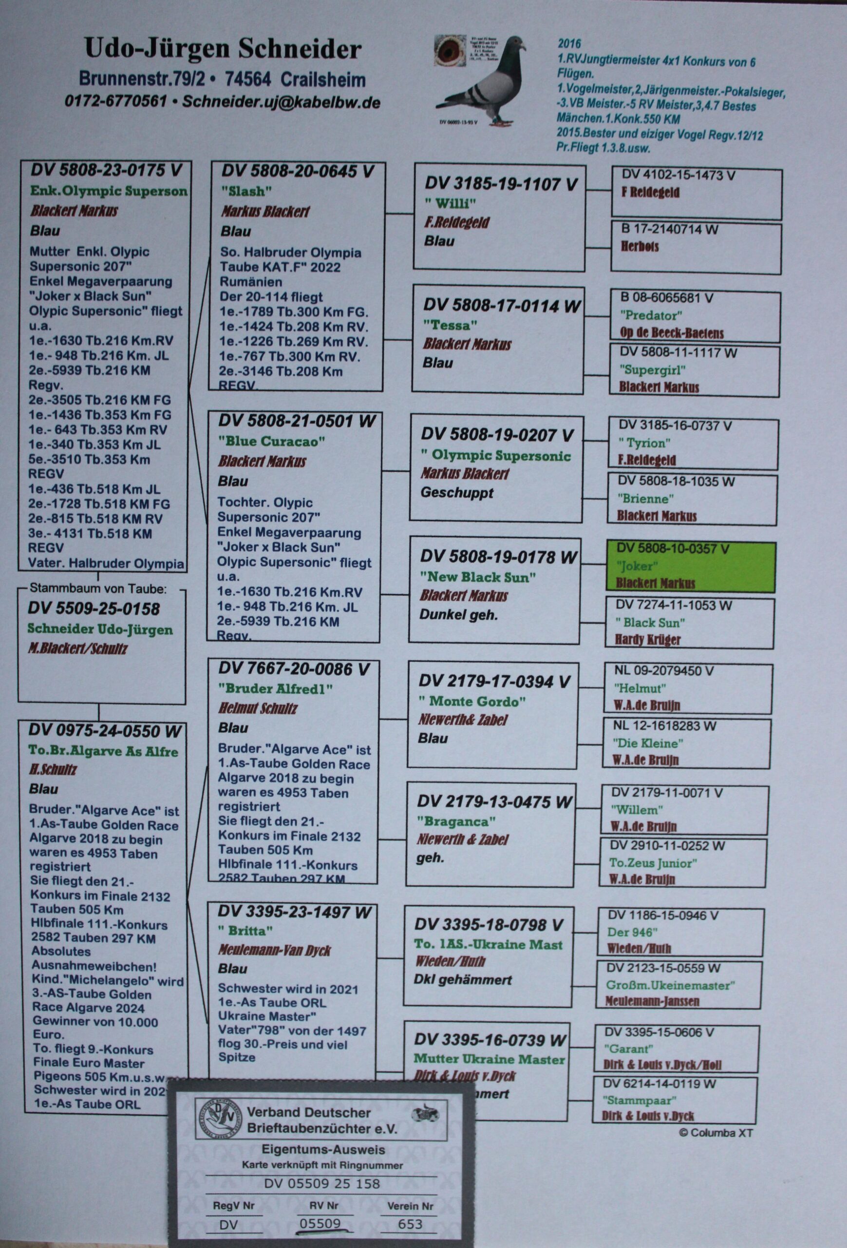 DV 05509-25-158 F - Image 2