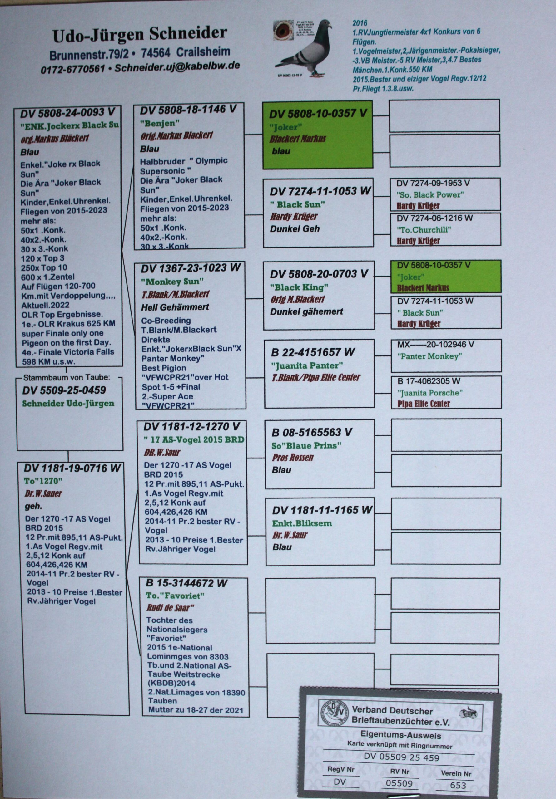 DV 05509-25-459 F - Image 2