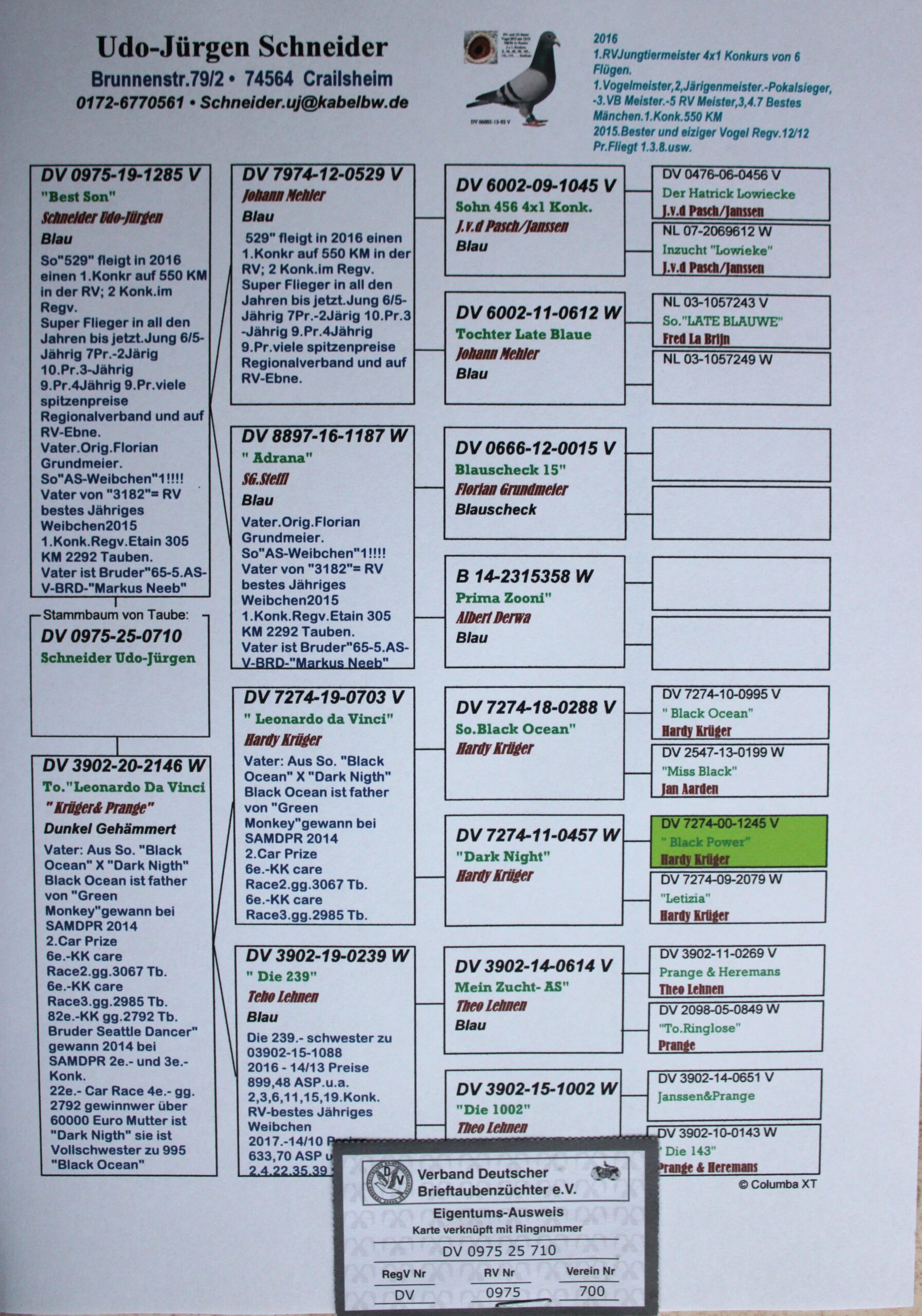 DV 0975-25-710 M - Image 2