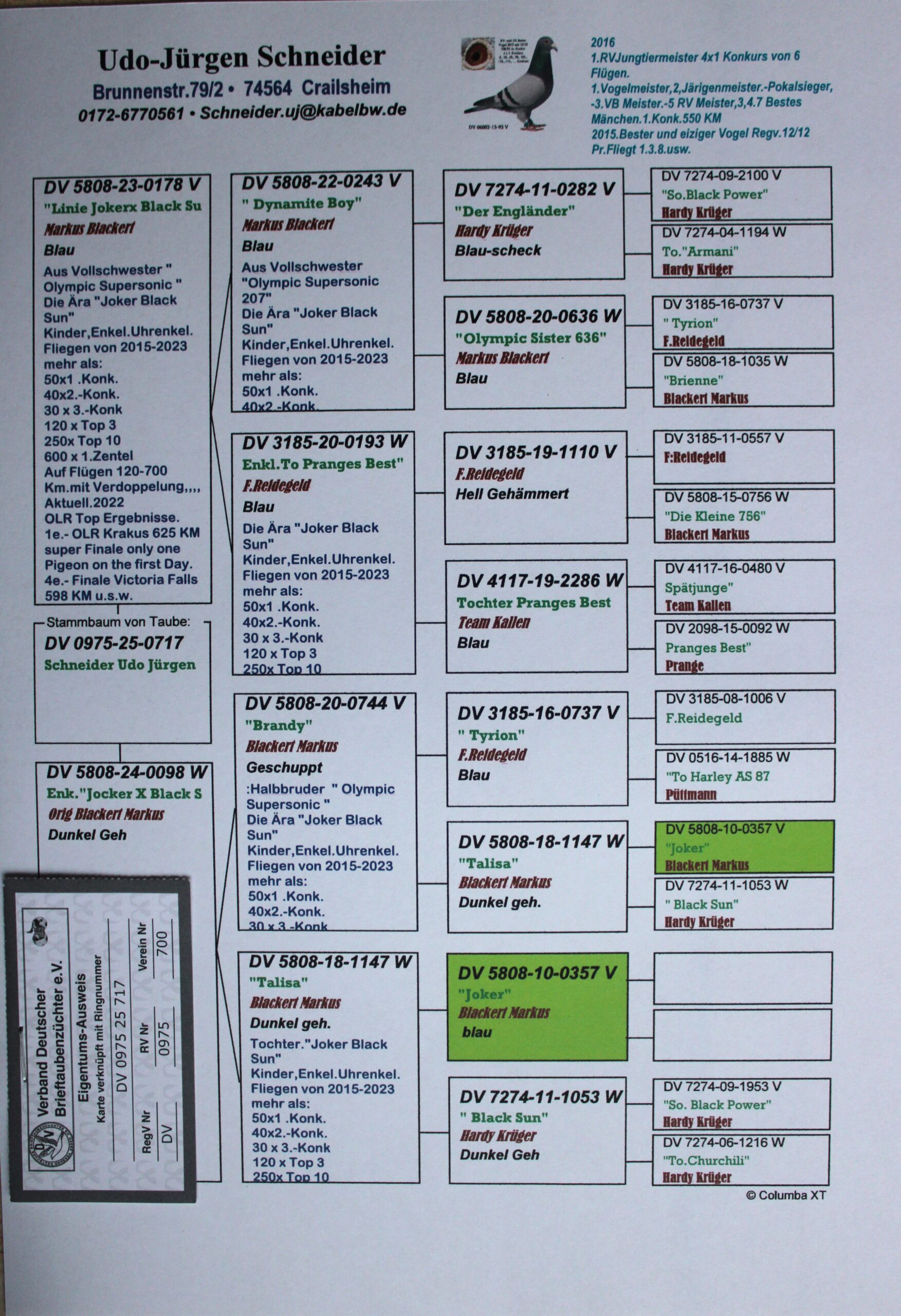 DV 0975-25-717 F - Image 2