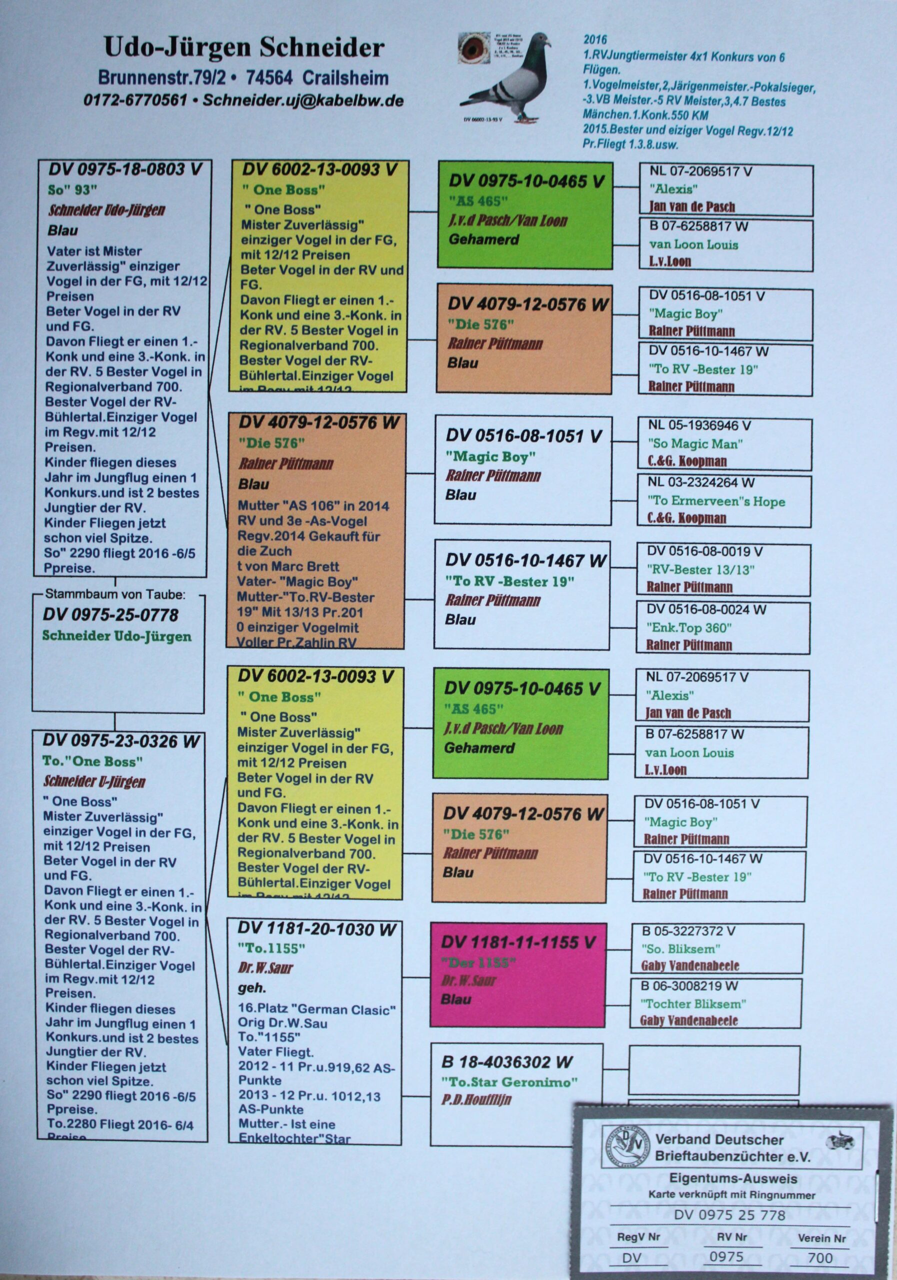 DV 0975-25-778 - Image 2