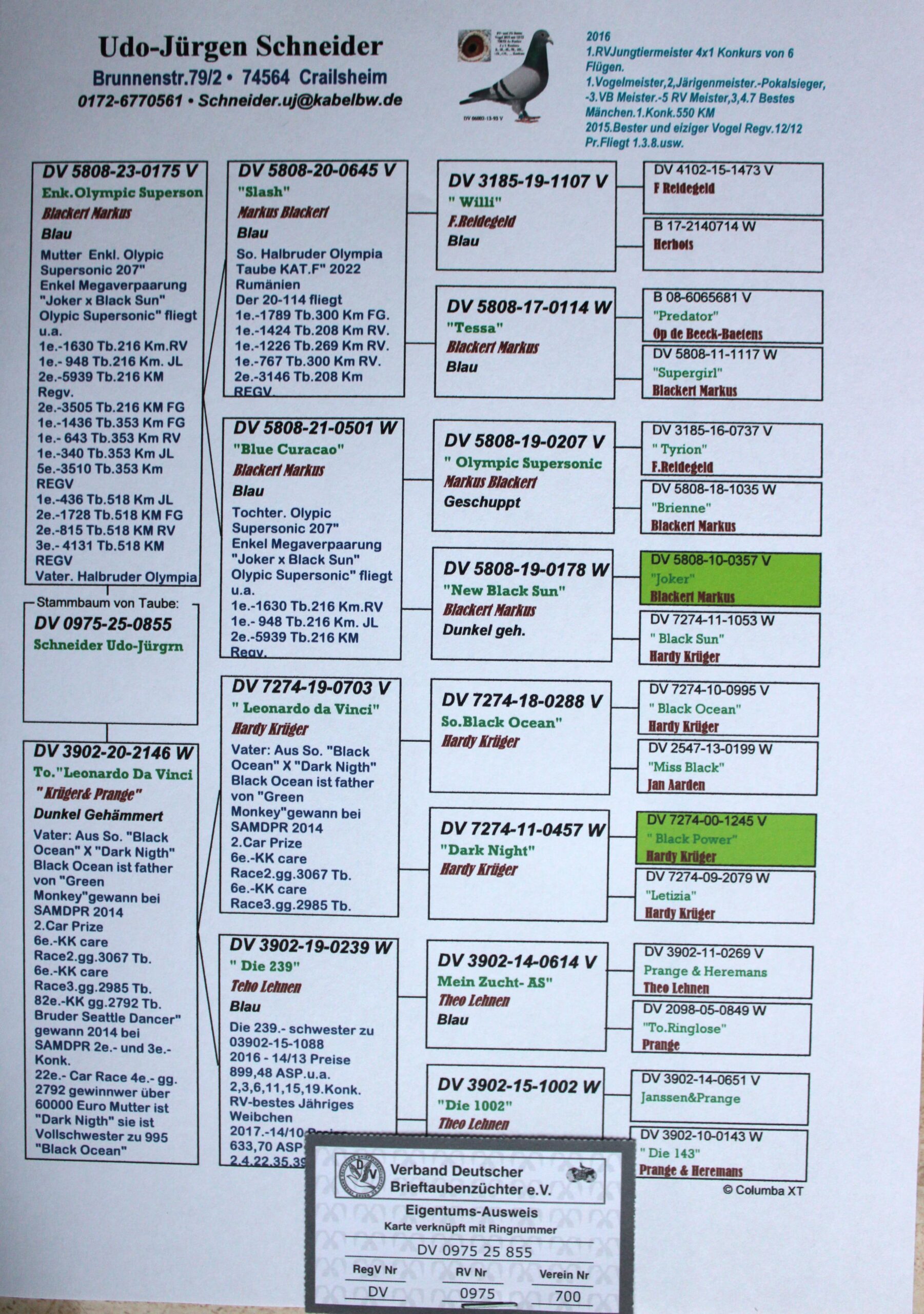 DV 0975-25-855 F - Image 2