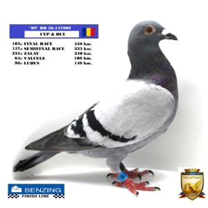 RO 26-147009