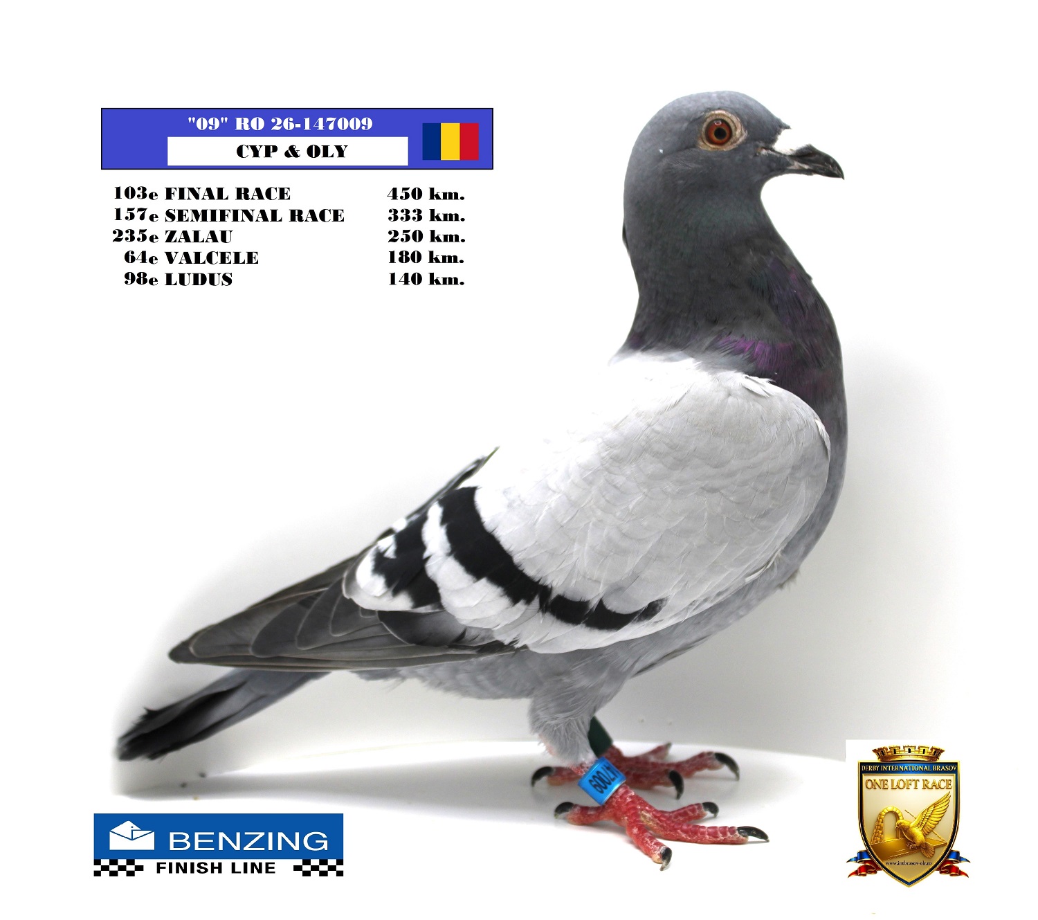 RO 26-147009