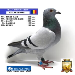 RO 26-0514210