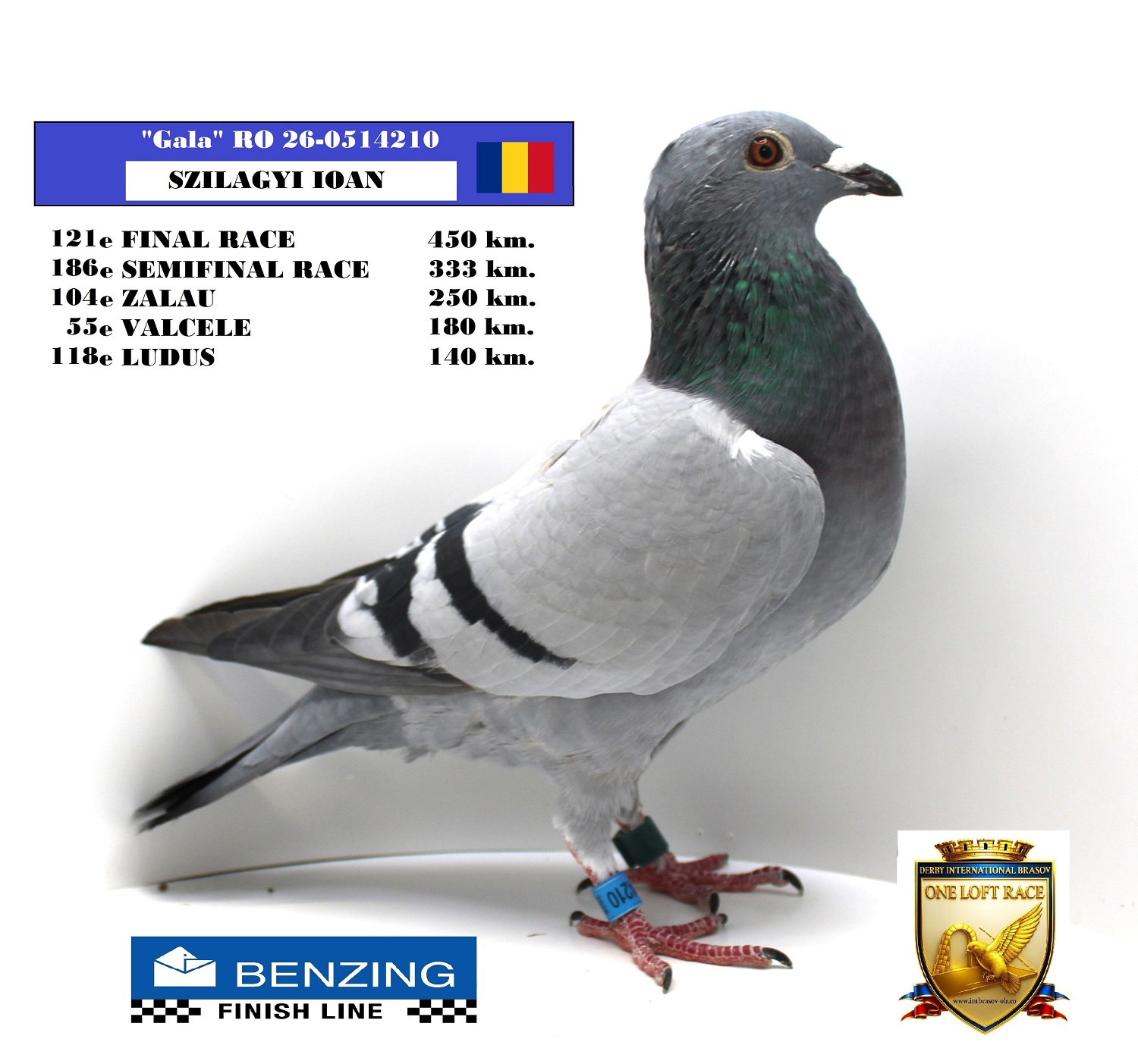 RO 26-0514210