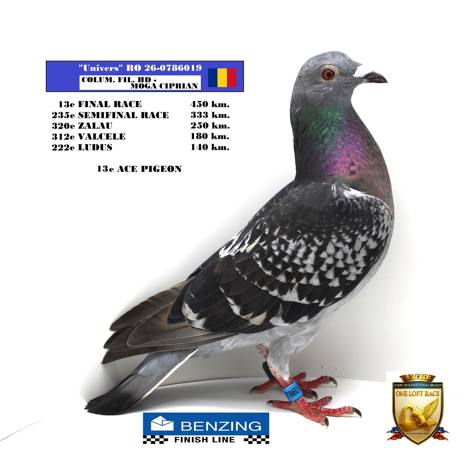 RO 26-0786019