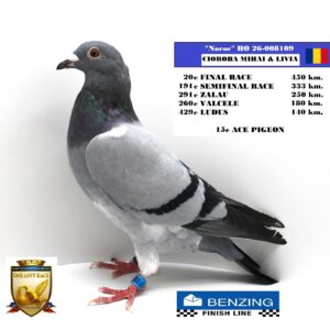 RO 26-008109