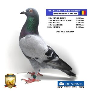 RO 26-0384422