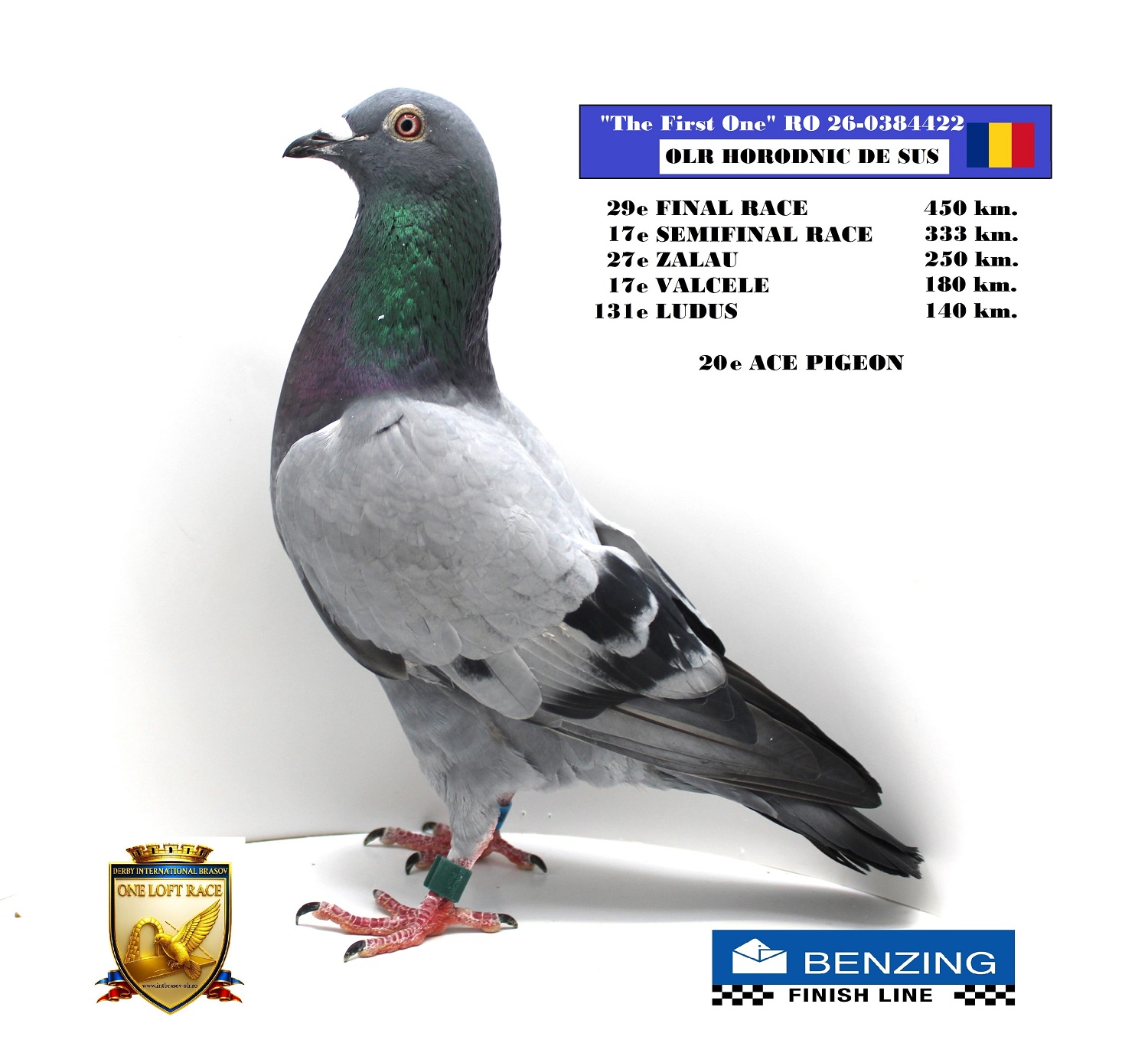 RO 26-0384422