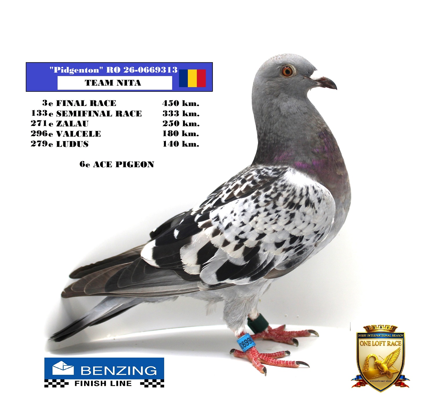 RO 26-0669313