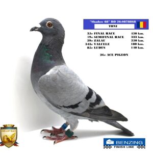 RO 26-0878868