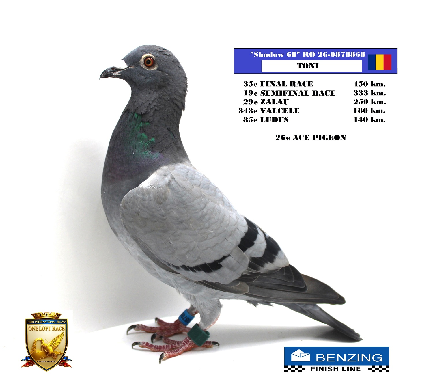RO 26-0878868