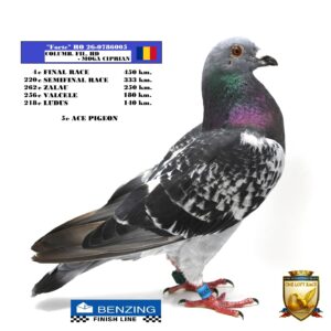 RO 26-0786005