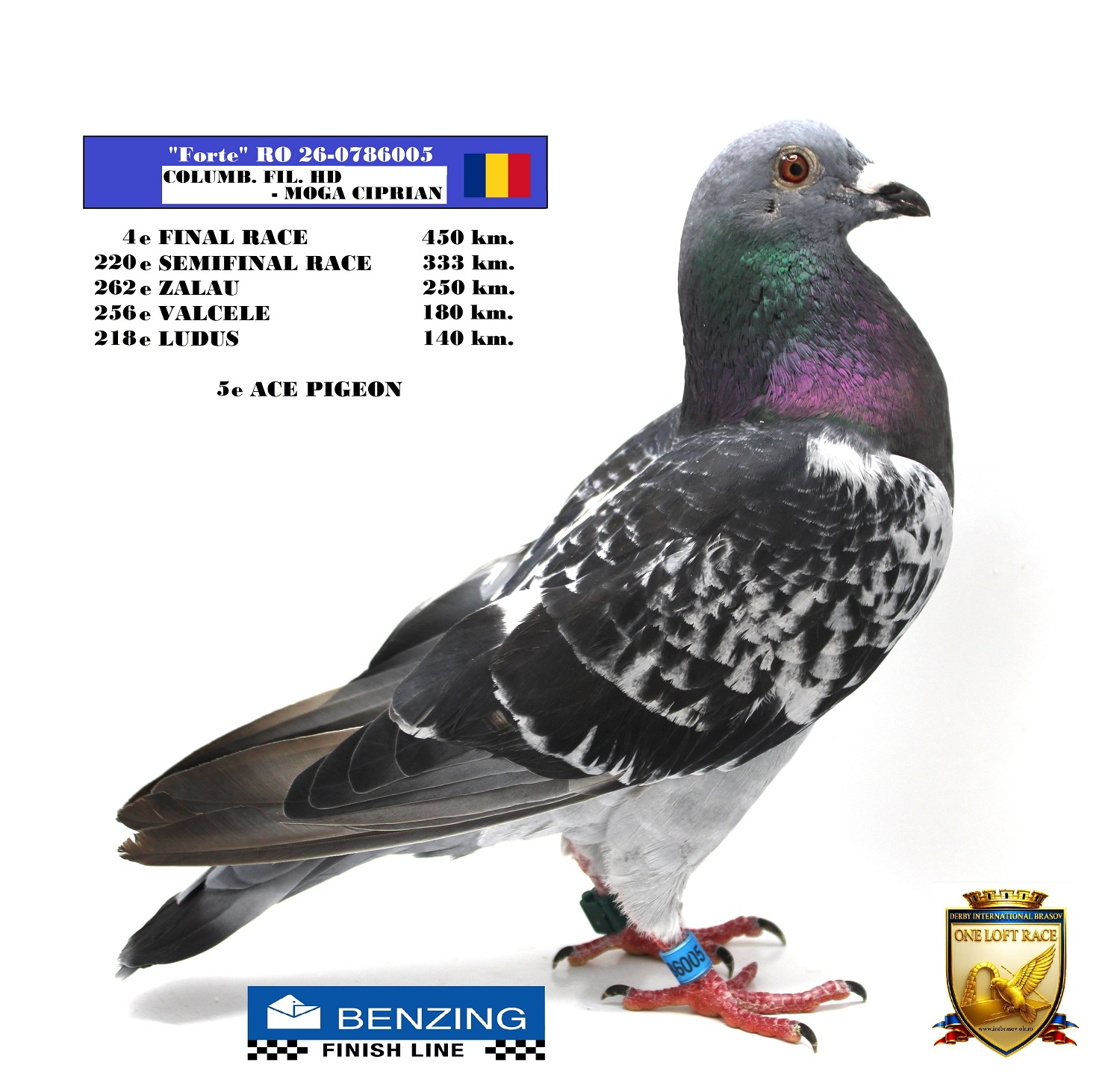 RO 26-0786005