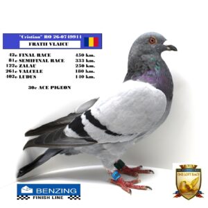 RO 26-0749911