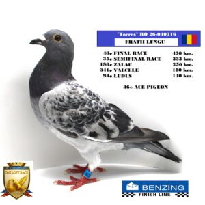RO 26-040316