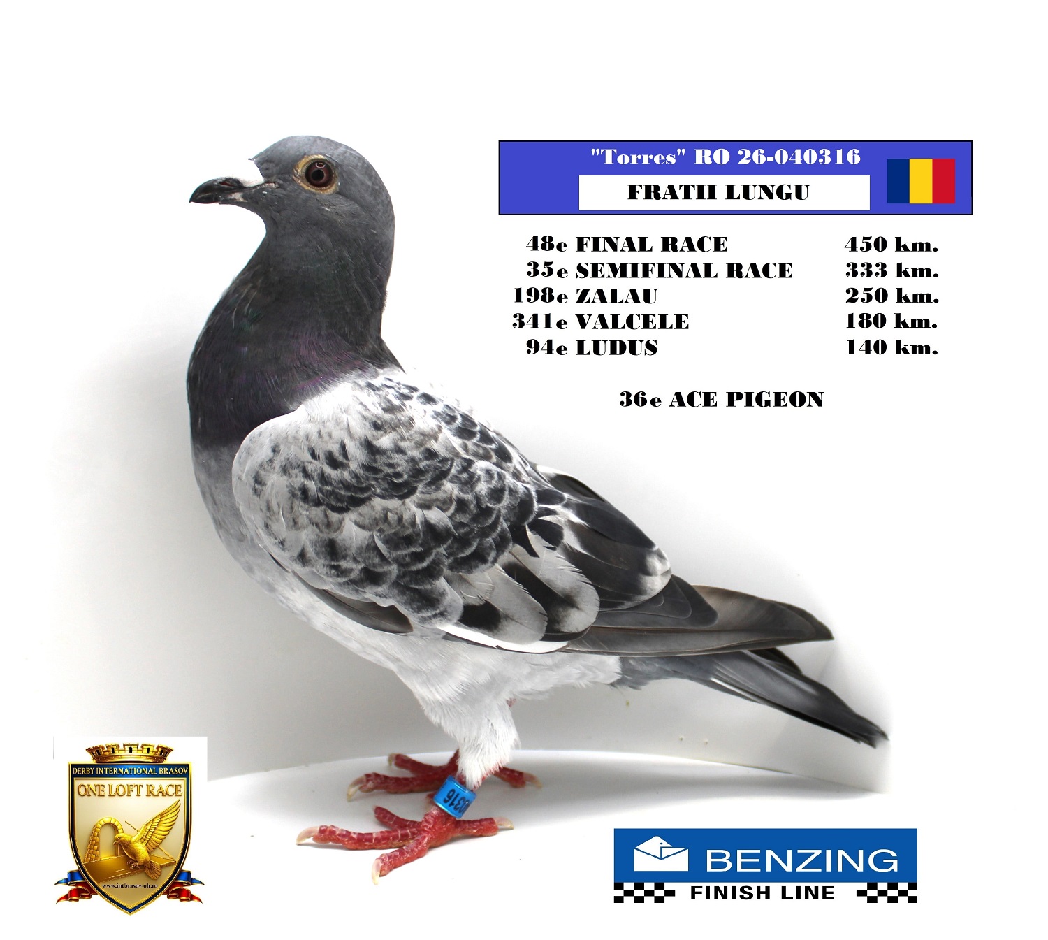 RO 26-040316