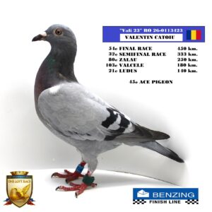 RO 26-0113423