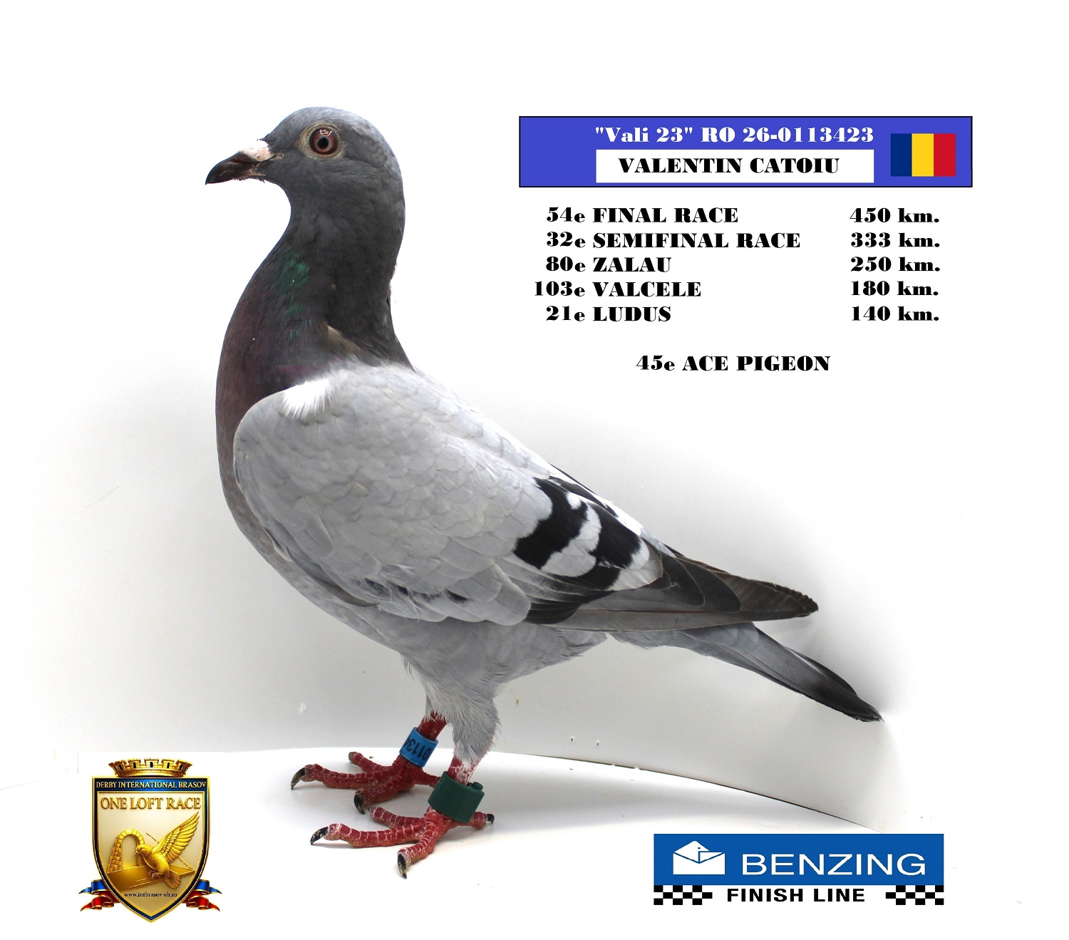 RO 26-0113423