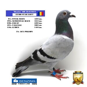 RO 26-019833