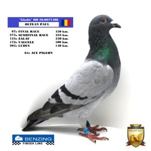 RO 26-0877488