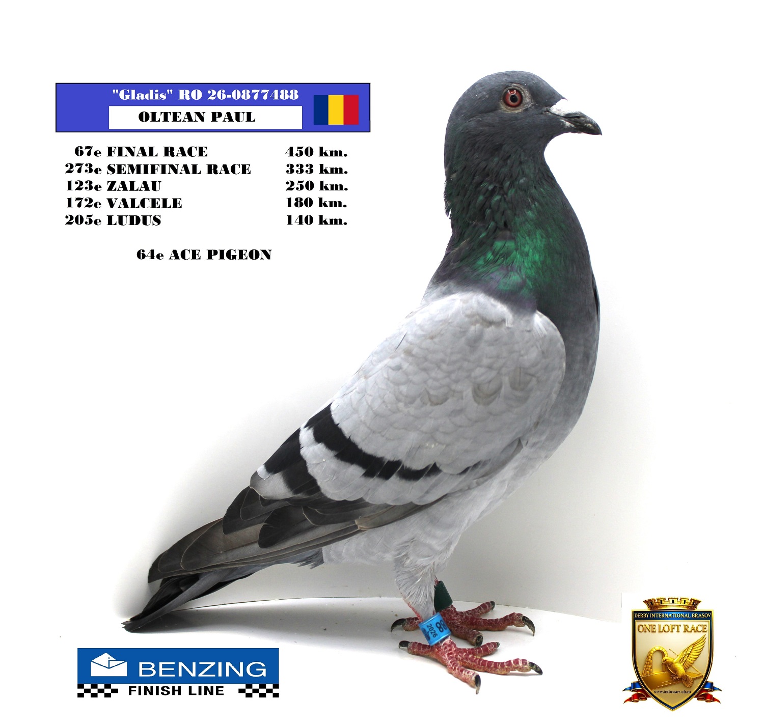 RO 26-0877488