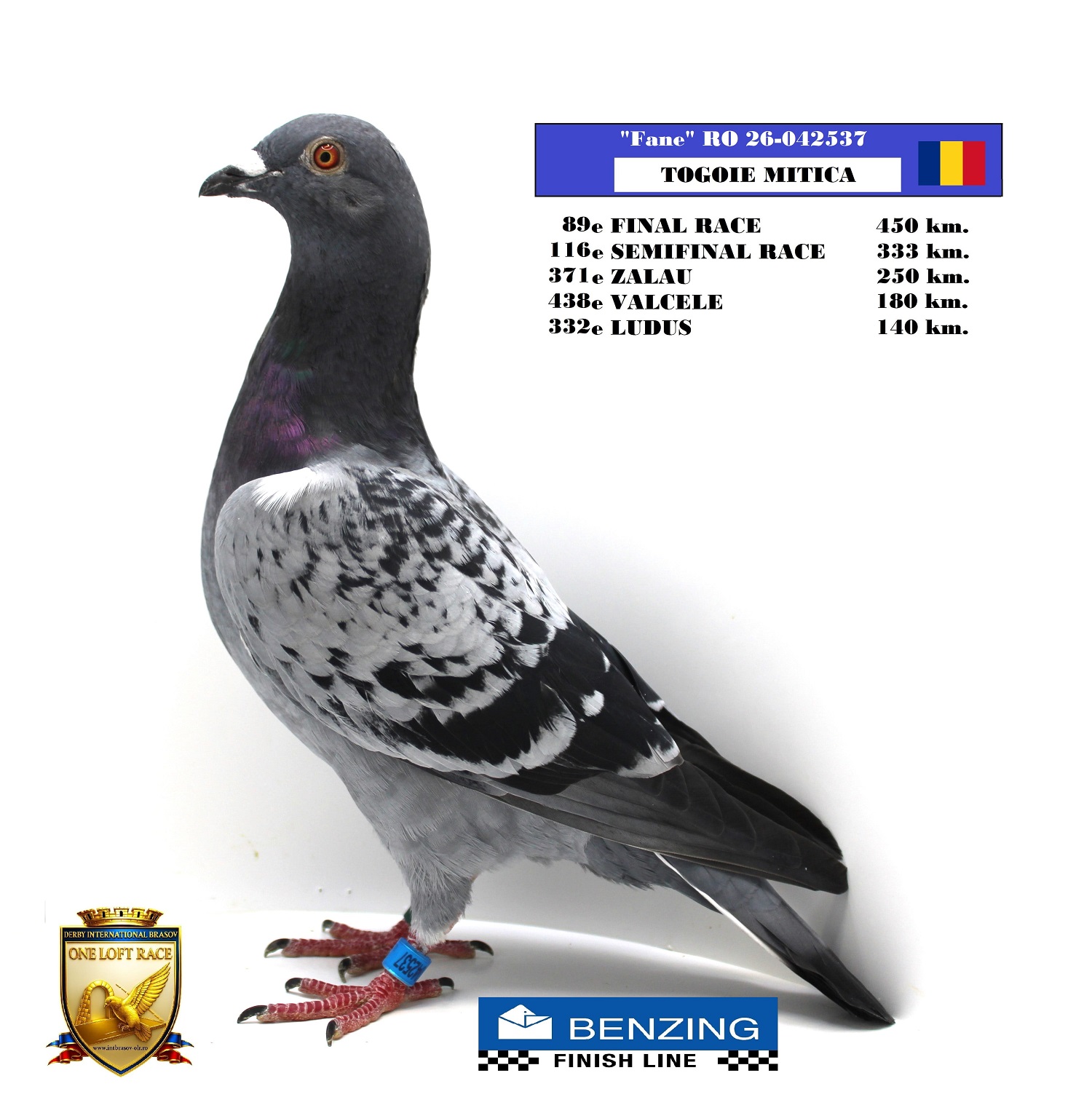 RO 26-042537