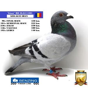 RO 26-0514203