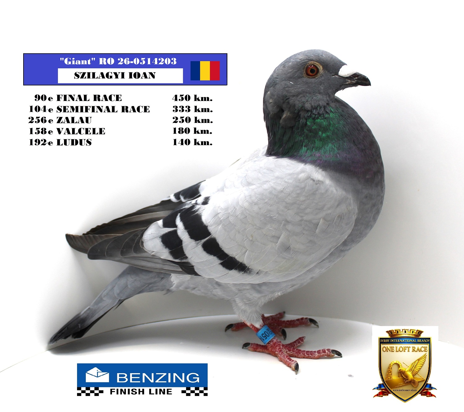 RO 26-0514203