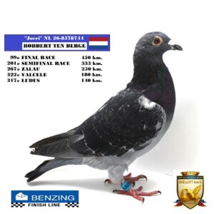 NL 26-8578744
