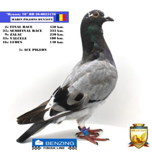 RO 26-0025170