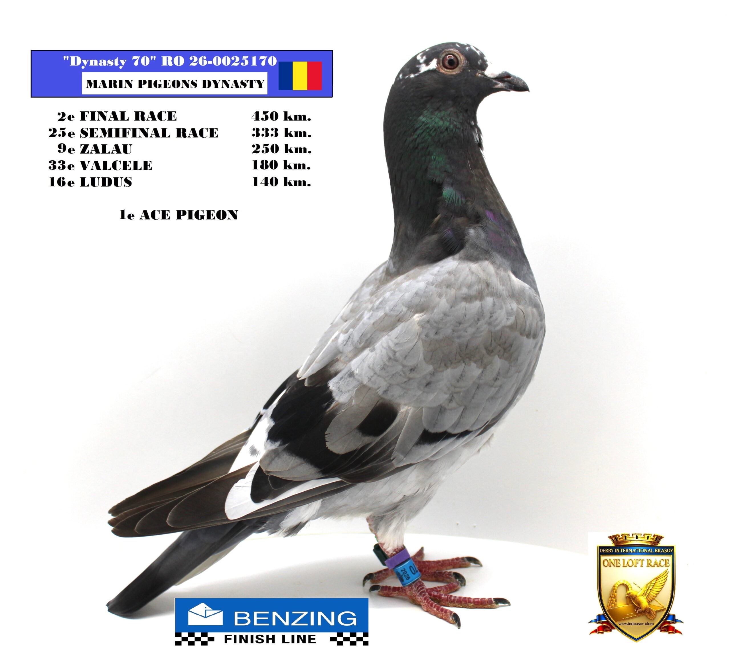 RO 26-0025170