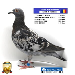 RO 26-011188