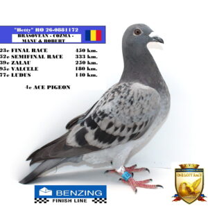 RO 26-0881172