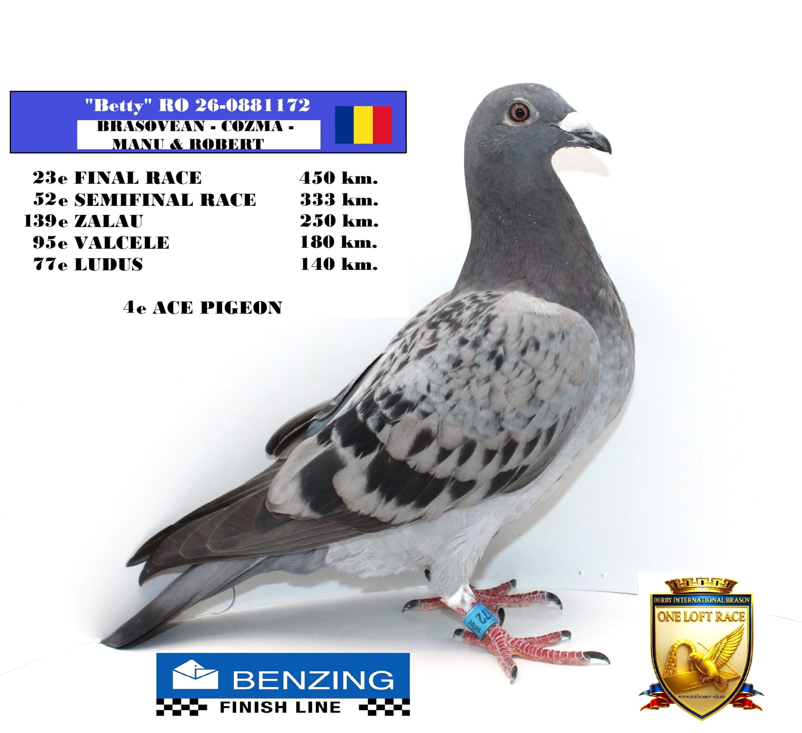 RO 26-0881172