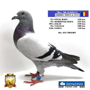 RO 26-008172