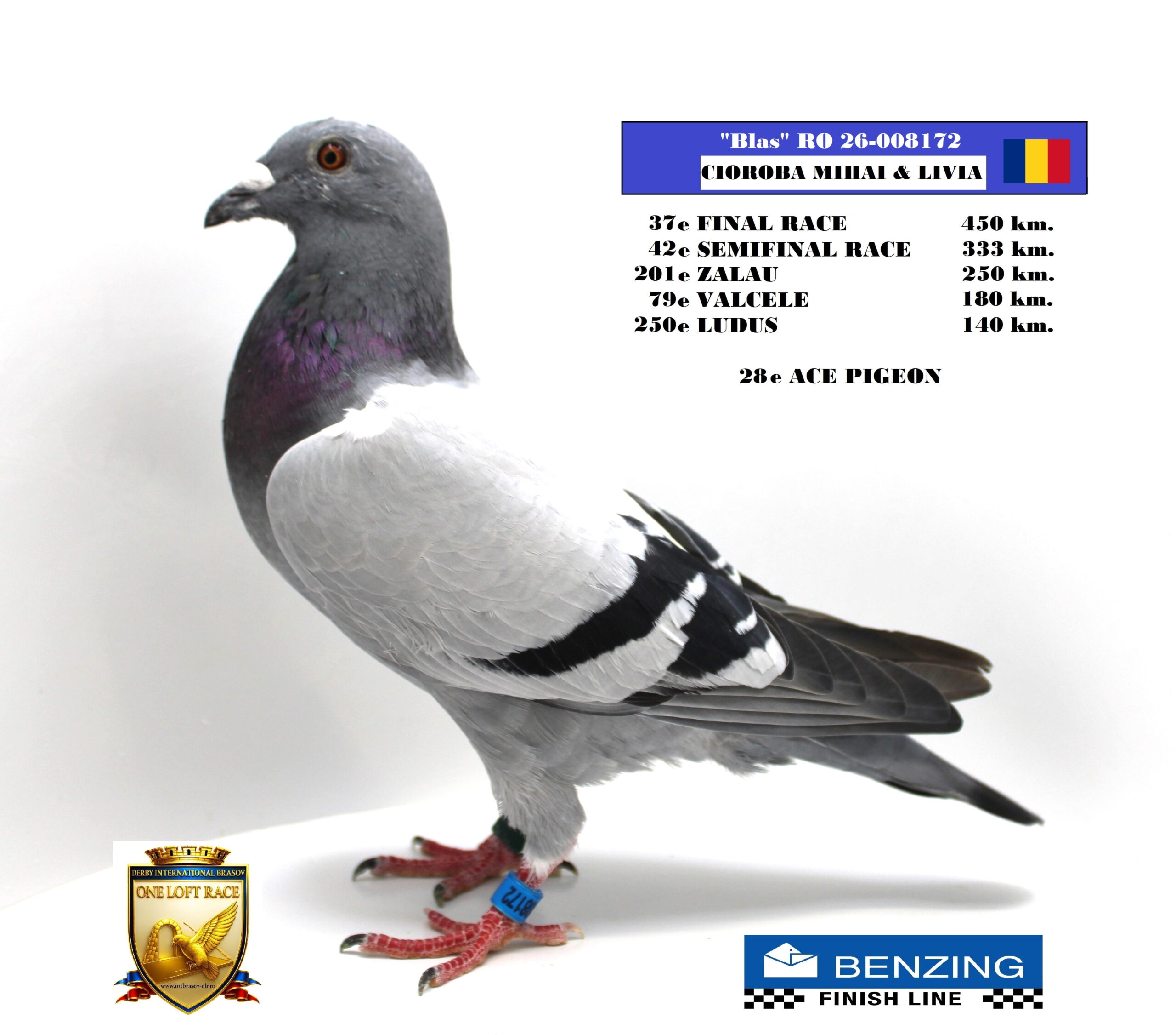 RO 26-008172