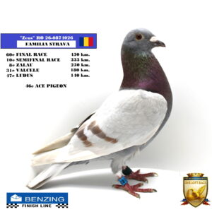 RO 26-0874026